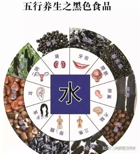 五行属水的食物|风水说：食物也有五行风水，快来看看！